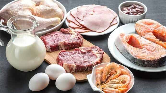 allowed foods on a protein diet