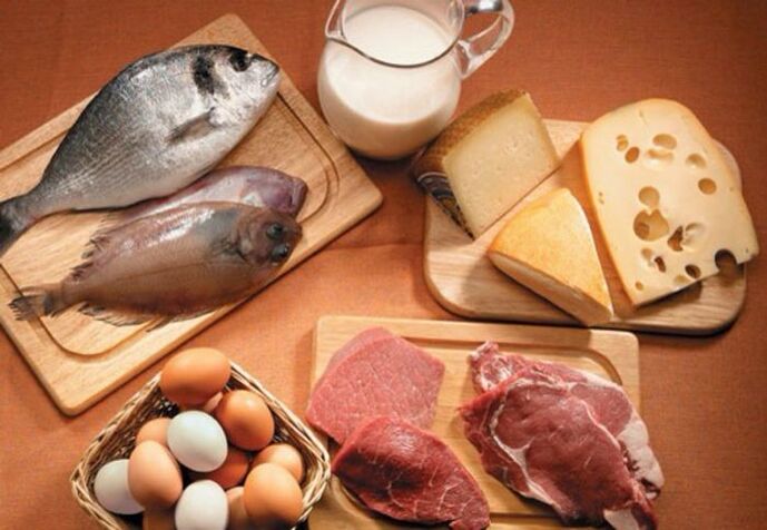 protein foods for weight loss
